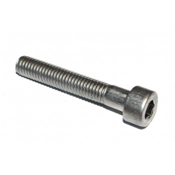 M5 x30 Boutje Inbus RVS (10 stuks)
