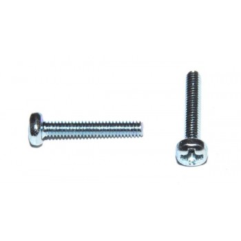 M2 x 12 Boutje Kruiskop RVS (25 stuks)