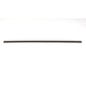 Header  64p Female (SIL Prof. Voet)