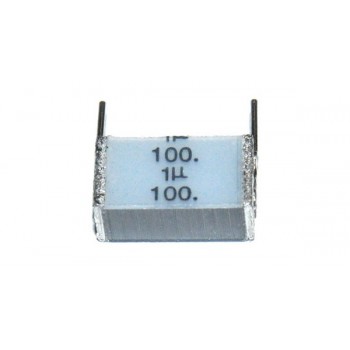 MKT   1uF 100V R10