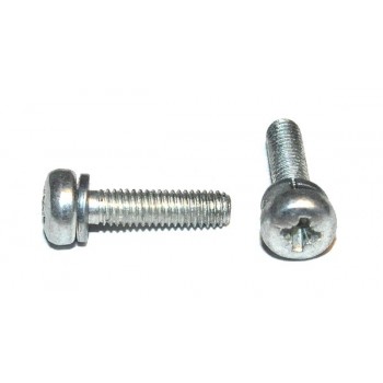 M3 x12 Boutje Kruiskop met Ring (25 stuks)