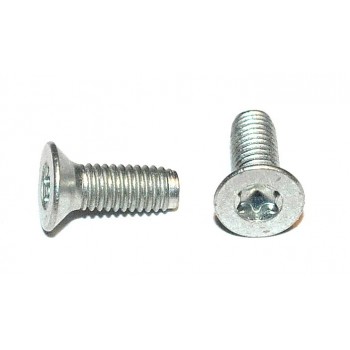 M3 x 8 Boutje Verzonken Torx (25 stuks)