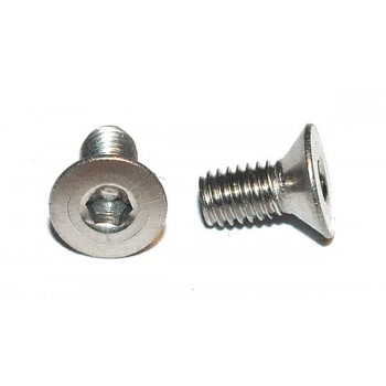 M3 x 6 Boutje Verzonken Inbus RVS (25 stuks)