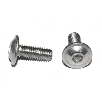 M3 x 8 Boutje Inbus Kraag RVS (10 stuks)